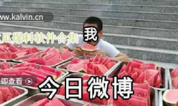全网爆料吃瓜视频下载免费,揭秘吃瓜视频下载免费背后的秘密