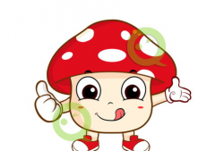 蘑菇动漫,探索奇幻世界，畅游青春记忆