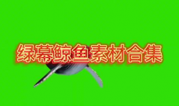 绿幕视频素材,探索虚拟与现实的完美融合