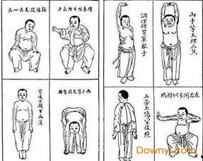 八段锦标准口令视频,轻松入门，养生保健操