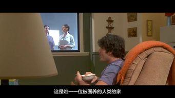 线上直播性爱影片,揭秘隐秘的虚拟世界